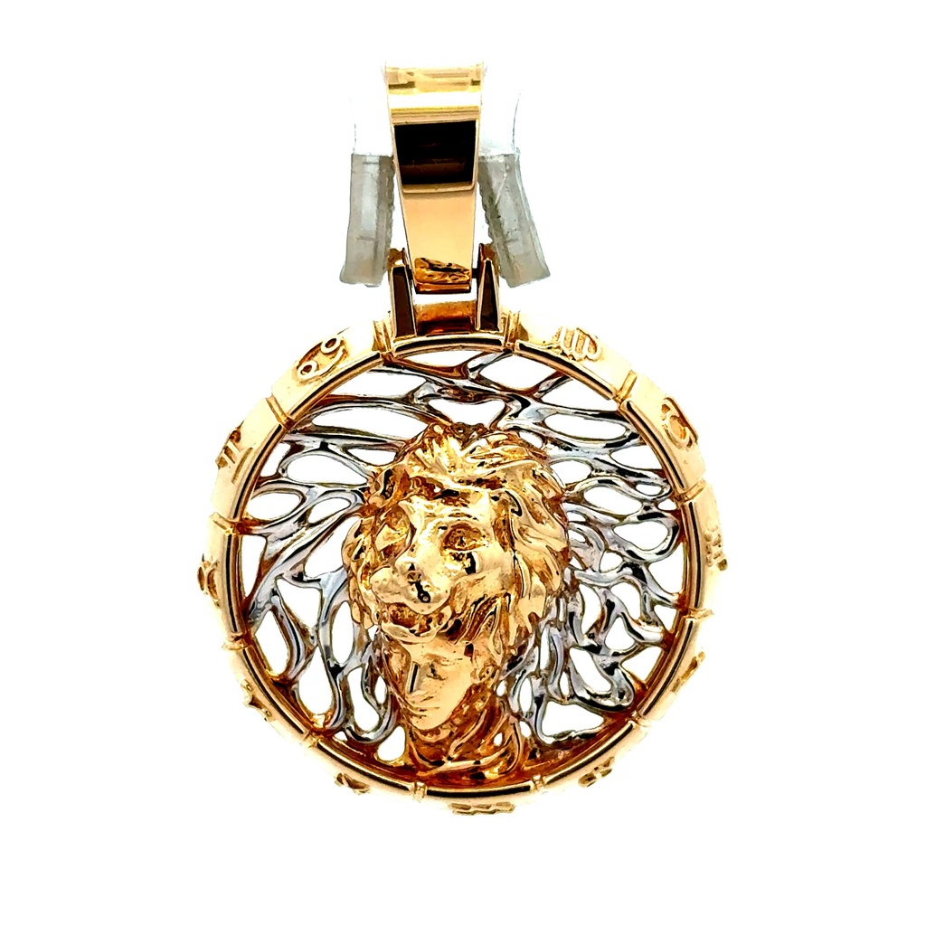 Pendant Zodiac Signs 40.5 14K